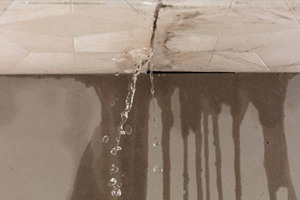 Professional Structural Drying technician working in Fairview, WV